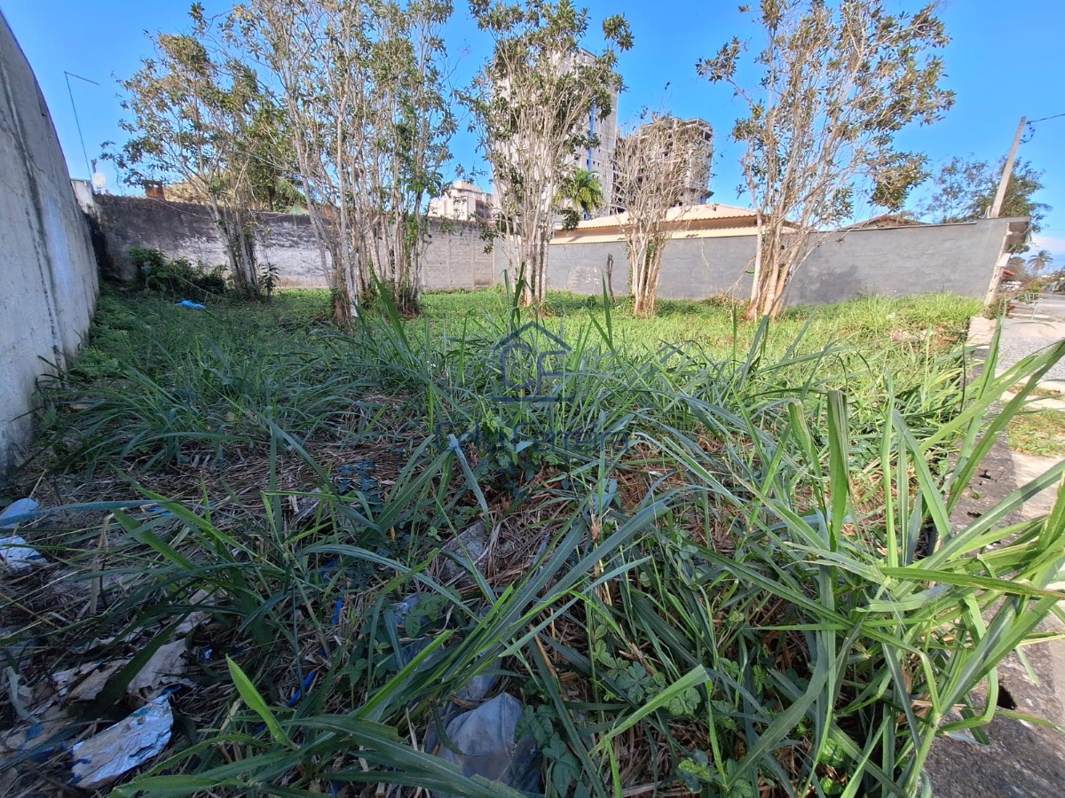 Terreno, 250 m² - Foto 10