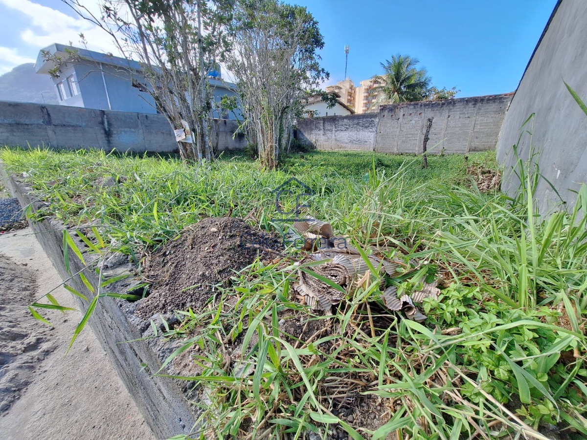 Terreno, 250 m² - Foto 3