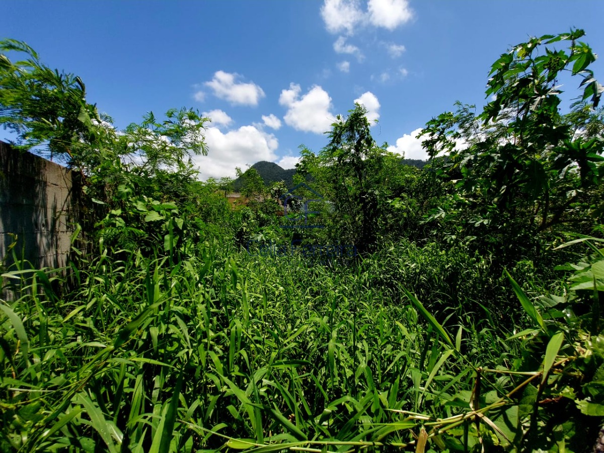 Terreno, 300 m² - Foto 2