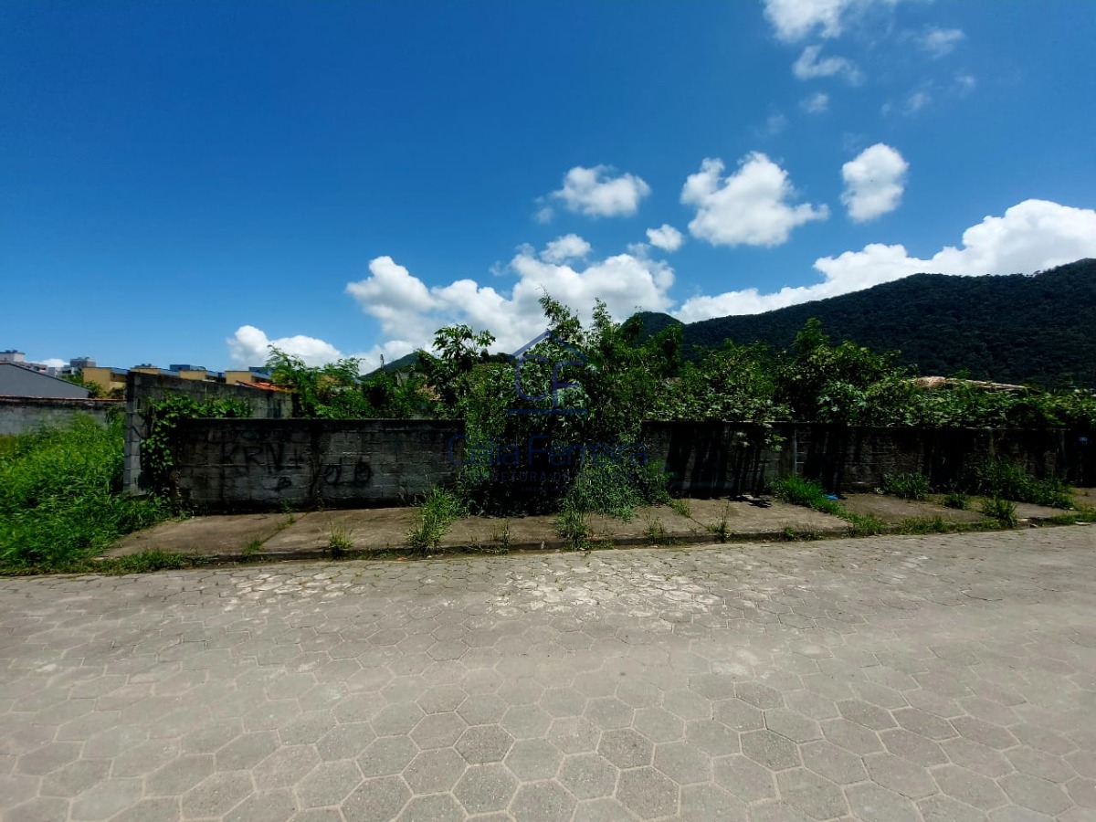 Terreno, 300 m² - Foto 4