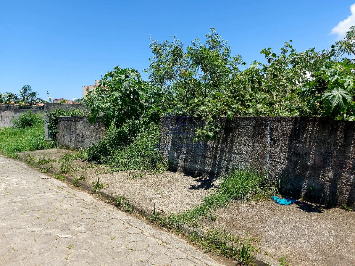 Terreno, 300 m² - Foto 7